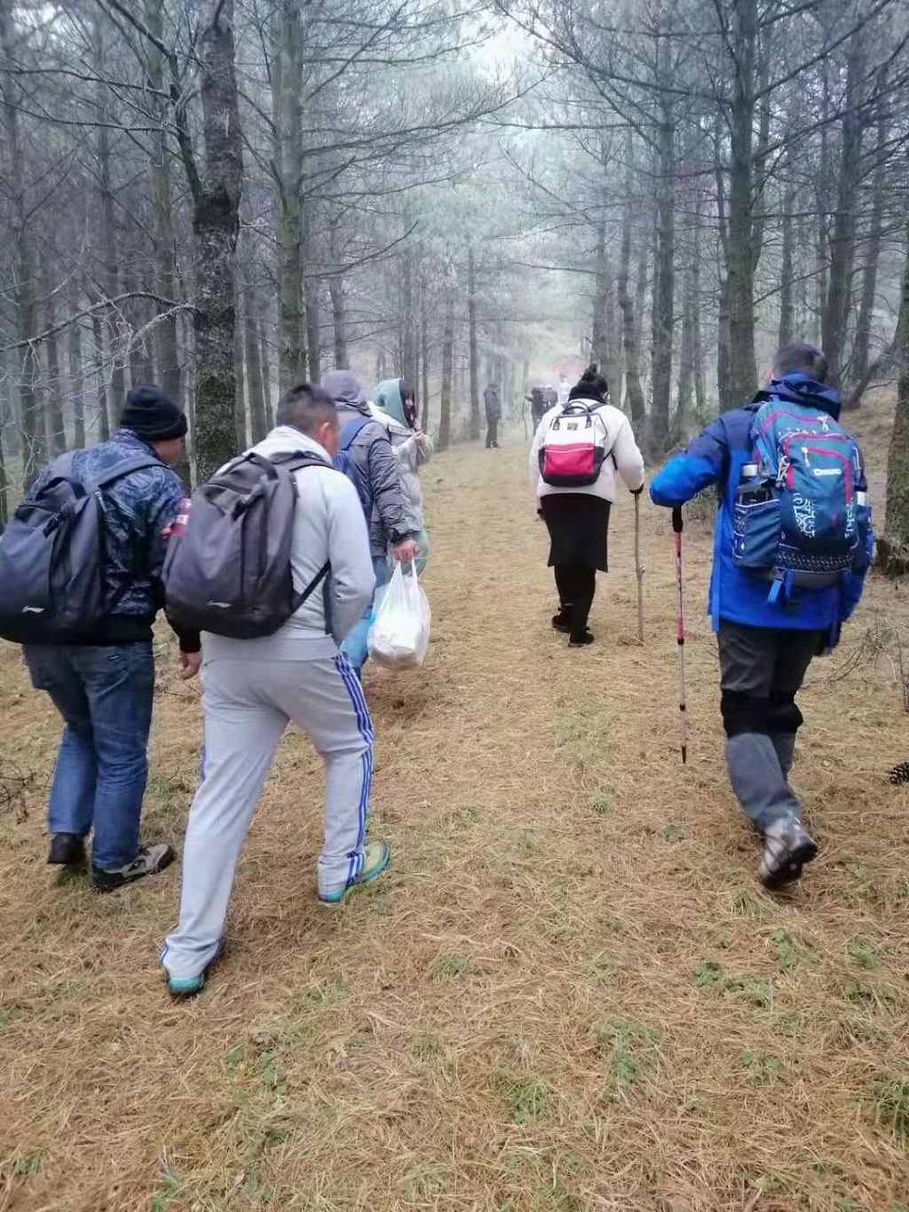 一程風雨一程山水，一樹花開一樹人間